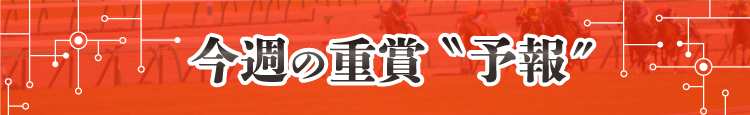 競馬予報Laboの今週の重賞予報